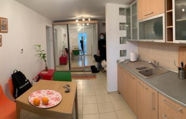 Apartament 2 camere strada Capalna