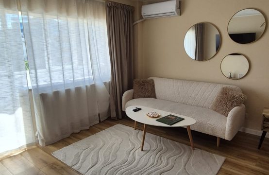 Garsoniera strada Smaranda Braescu